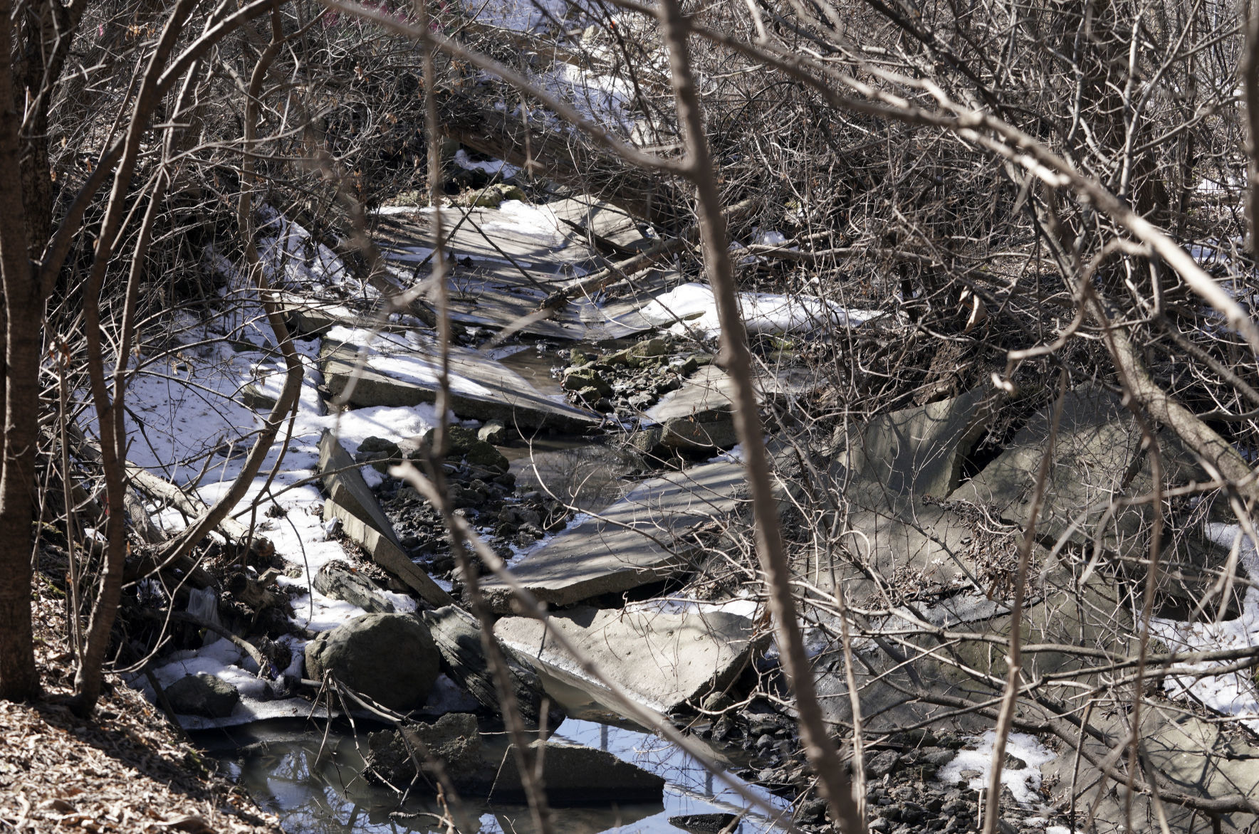 Arboretum stormwater